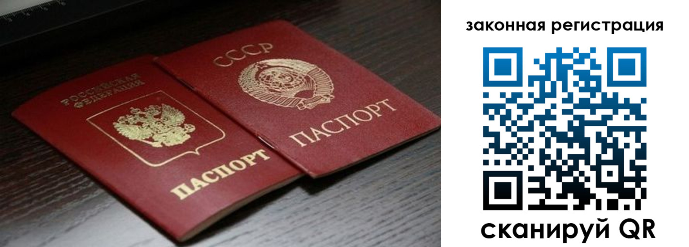прописка поиск в Кольчугино